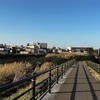 12月8日（金）土手散歩1.7km