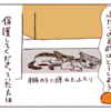 わたしうひりめよ　子猫の名前