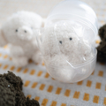 絶対に欲しかったじょせまるぬいぐるみガチャ！　コンプリートしたよ〜って話。