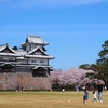 街をあるけば「菱櫓・二の丸」桜満開