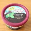 ハーゲンダッツ ショコラミントエクストラ