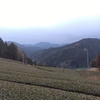 とにかく雨が欲しいこの頃