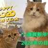 2020年の5つの目標