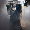 外務省が一切国民に知らさない、　中国の安全度が低下している　伝染病チクングニア熱の発生、すごいスピードで蔓延中　そして　コロナも永続的に蔓延中
