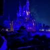 東京ディズニーリゾート　2泊3日の旅　2025.1　その12　～ディズニーランド-4