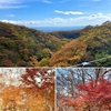 マウントジーンズ那須and吊り橋からの紅葉ムービー