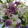 DAILY FLOWERS