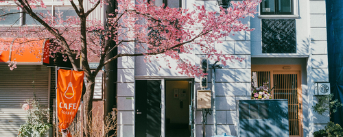 日本橋のおかめ桜が綺麗でした。