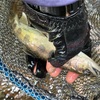 心霊に怯えながらの渓流釣り
