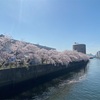 16時間空腹チャレンジ53日目です