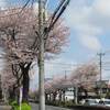 通院と孫の顔を見に
