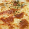 カキとほうれん草のグラタン