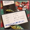 WEST LURESさんからハンドメイドミノーが届きました！