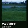 ハシゴ