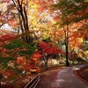 むかちんと三重県へ旅行✈️🍁