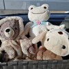 うさぎのターン　お詣りに行ってきたよ