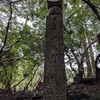 帰り道、何かとても楽しくて