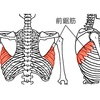 身体の使い方シリーズその121強い腕を作る『肩甲骨の作り方』背中を効果的に使えて武術家・クライマー・一般の方々にもオススメです‼︎