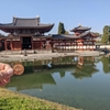 紅葉の京都をキャンピングカーで巡る旅②まずは郊外の紅葉から