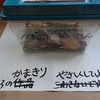 本日のかぎやっ子