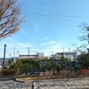 （巻四十三）わが色欲いまだ微［かす］かに残るころ　渋谷の駅にさしかかりけり(斎藤茂吉)