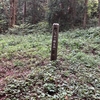 比婆山の熊野神社、しゃがの群生地です。