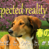 2022年3月9日の更新、「#94 Unexpected reality」。