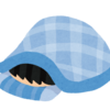 すぐに訪れたがっかりな現実