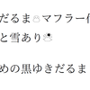 夏といえば、やっぱり「ゆきだるま」！