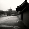 大雨の日の法隆寺境内