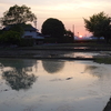 浜ちゃんの散歩道（２７）　夕日が沈む田園と茜の空に映える浜松基地の飛行訓練機