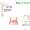 東洋医学では、お腹を、お中と言う理由