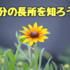 自分の長所がわからない？自分の特徴がわかる診断をして長所を知ろう！