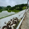 寺沢沼（群馬県前橋）