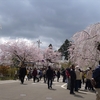 秋田サクラの旅①角館と乳頭温泉と八幡平