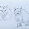 日々絵「ブルゴーニュの猫　Bourgogne cat」17.03.21