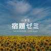 📌《外部生》宿題ゼミ［ 受付中 ］