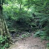 8月12日（月）奥多摩ハイキング　大岳山 O原記