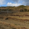 凍てつく小豆島中山千枚田の夕暮れ