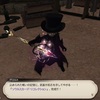 週末のFFXIV 〜 2020.11.08：南方ボズヤ戦線クリアとRWの新形態完成！