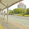 長野駅東口で見つけたスミレ