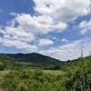 草刈りで熱中症になった。この夏、熱中症対策は絶対に必要