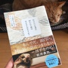 【読書感想】私みたいな者に飼われて猫は幸せなんだろうか？／能町みね子／講談社