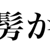 漢検一級勉強録 その381 ｢髣か｣