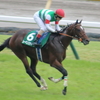 🐴🎫オールカマー・反省文