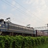 第902列車　「　EF66 27牽引の2063レを狙う　」