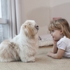 動物の皮膚病には心のケアが必要なことがあります