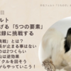 羊毛フェルト上達講座: 劇的に技術を上げる「5つの要素」その５-記録に挑戦する