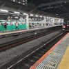 〔鉄道〕ＪＲ東日本 スワローあかぎ🚃