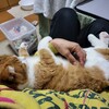 通院日！一ヶ月再検査！